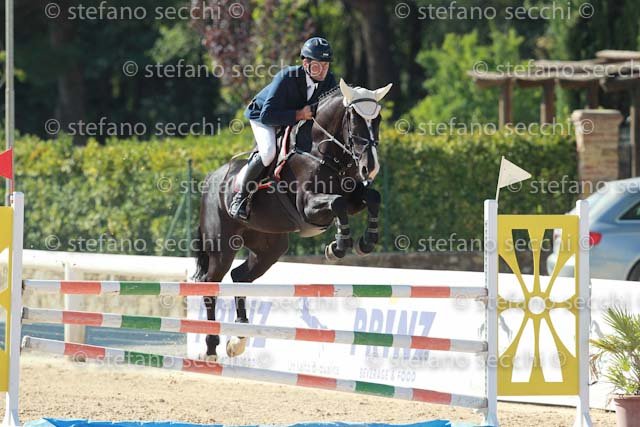 PALA_CLARETTA_GIO CAV 2011_SS3_7364.jpg